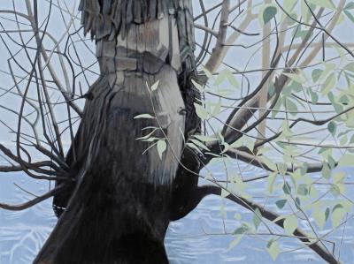 Beavers Work